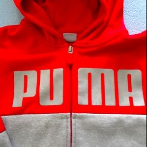 Puma hodie